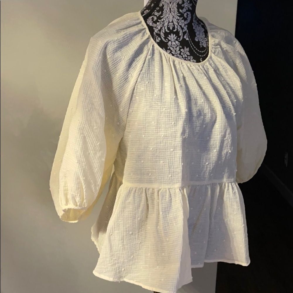 Zara Dress top